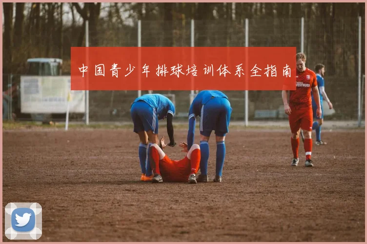 中国青少年排球培训体系全指南
