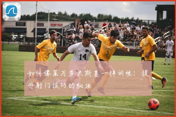如何像莱万多夫斯基一样训练：提升射门技巧的秘诀