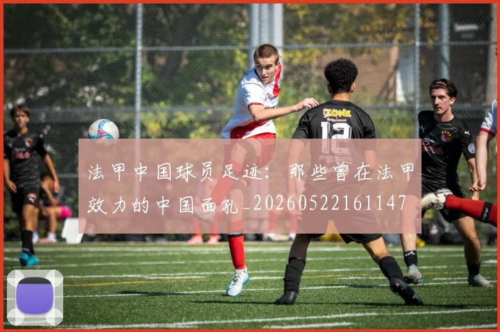 法甲中国球员足迹：那些曾在法甲效力的中国面孔_20260522161147
